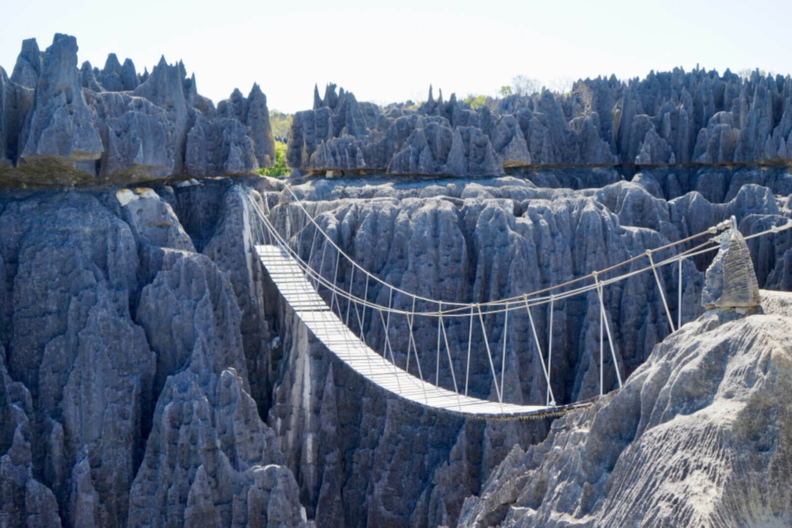 Adventure through the famous Tsingy of Bemaraha in 7 days