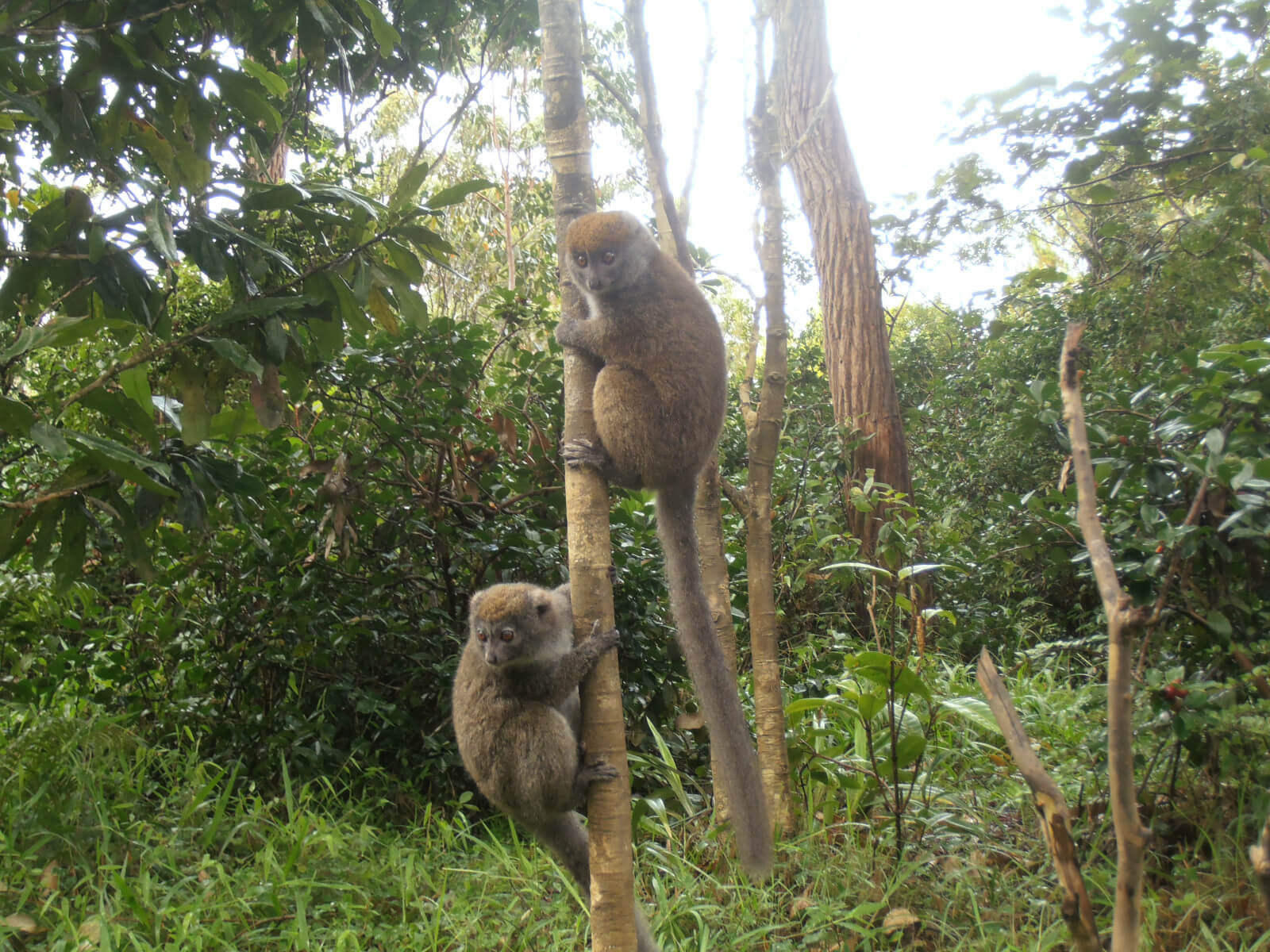 Découverte de la fameuse route vers la partie Sud de Madagascar