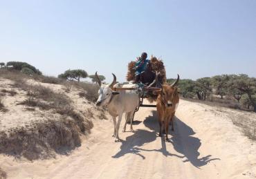 Un séjour Luxueux dans le Sud de Madagascar