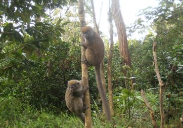 Découverte de la fameuse route vers la partie Sud de Madagascar